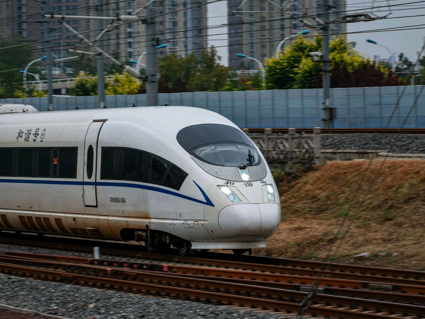 丨沐念丨的头像