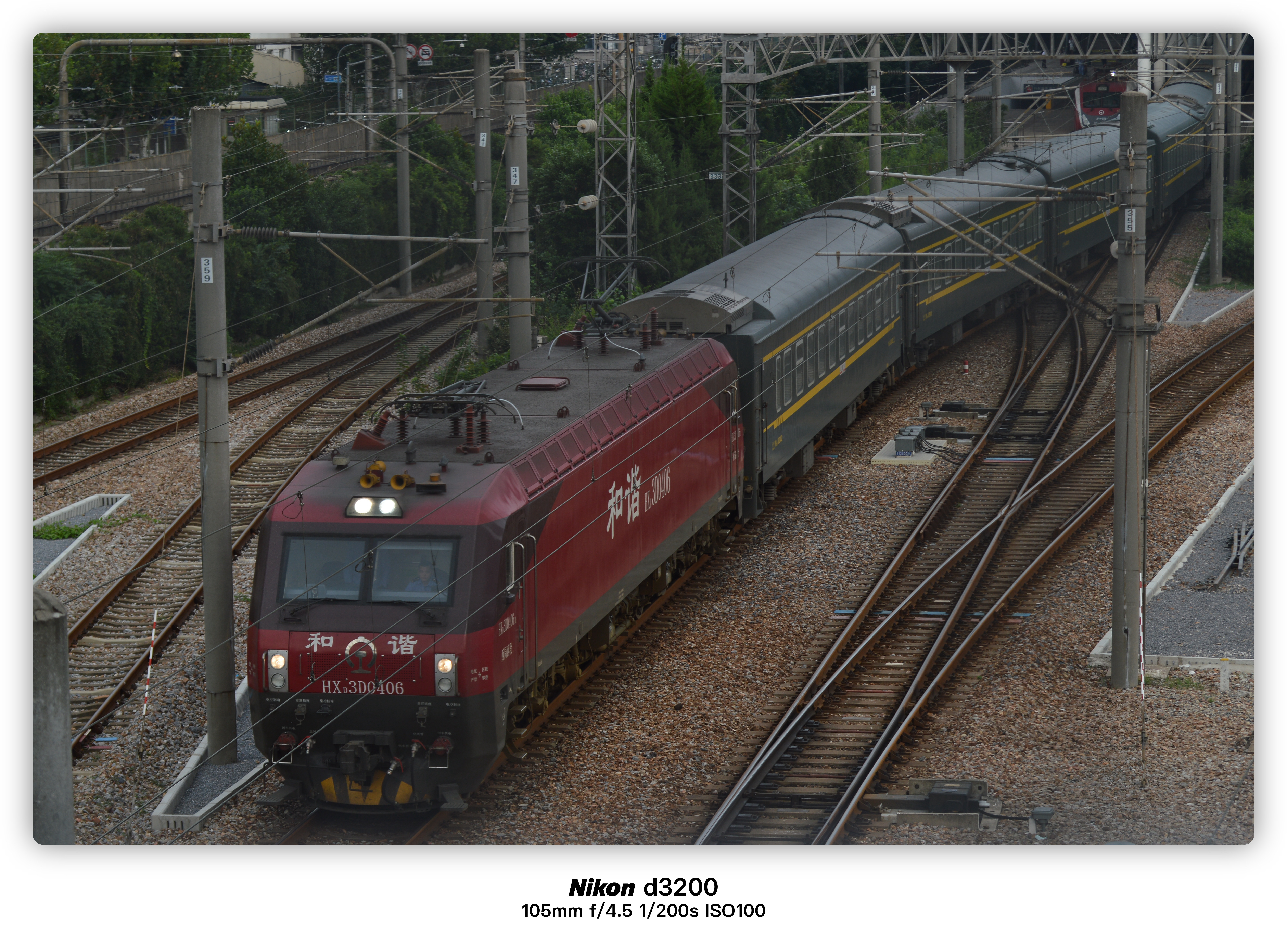 乾杯了啊的头像