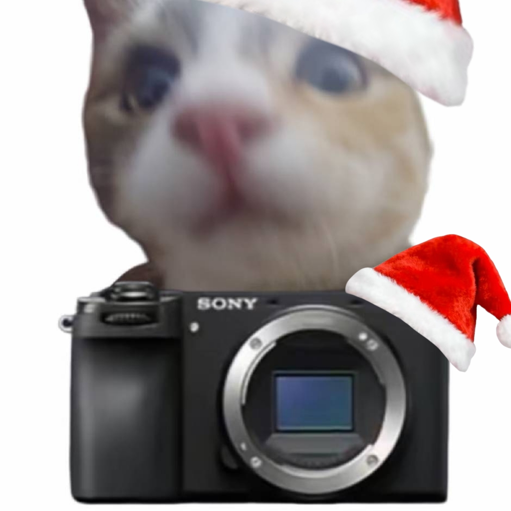 開花鴨蛋的头像