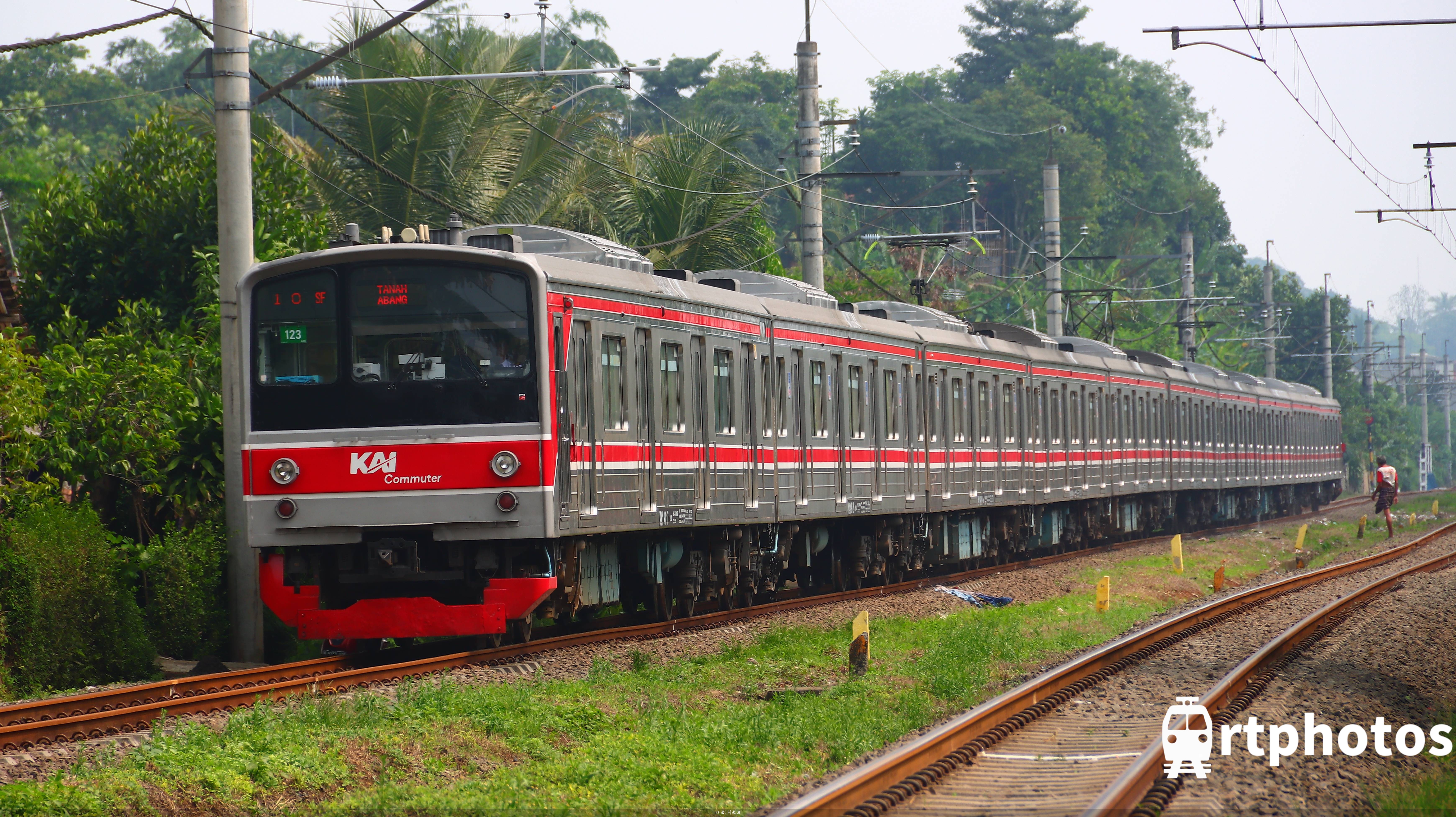 rtphotos-雨林中的通勤列车