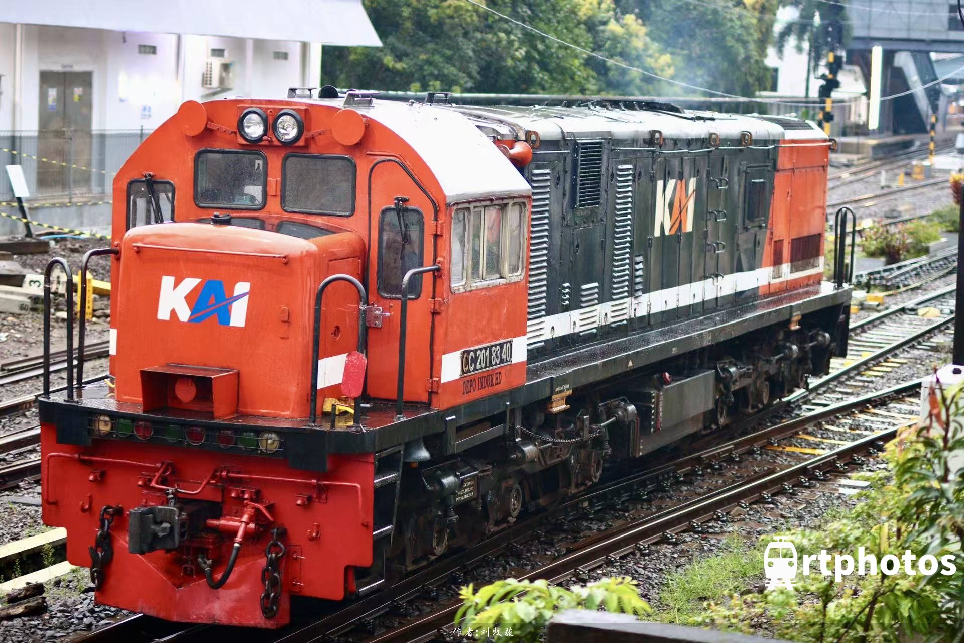 rtphotos-彩绘调机