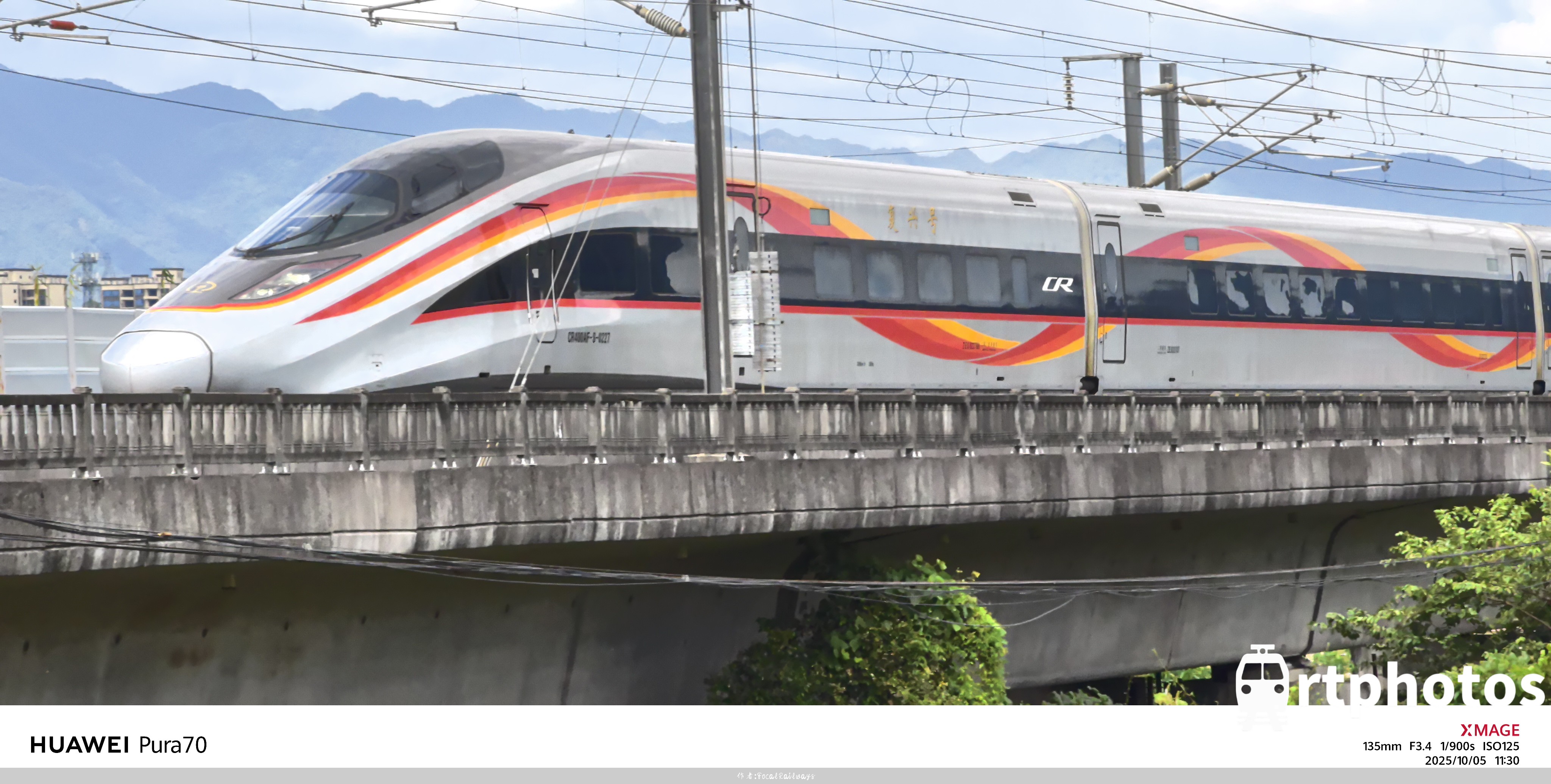 rtphotos-长焦下的智动