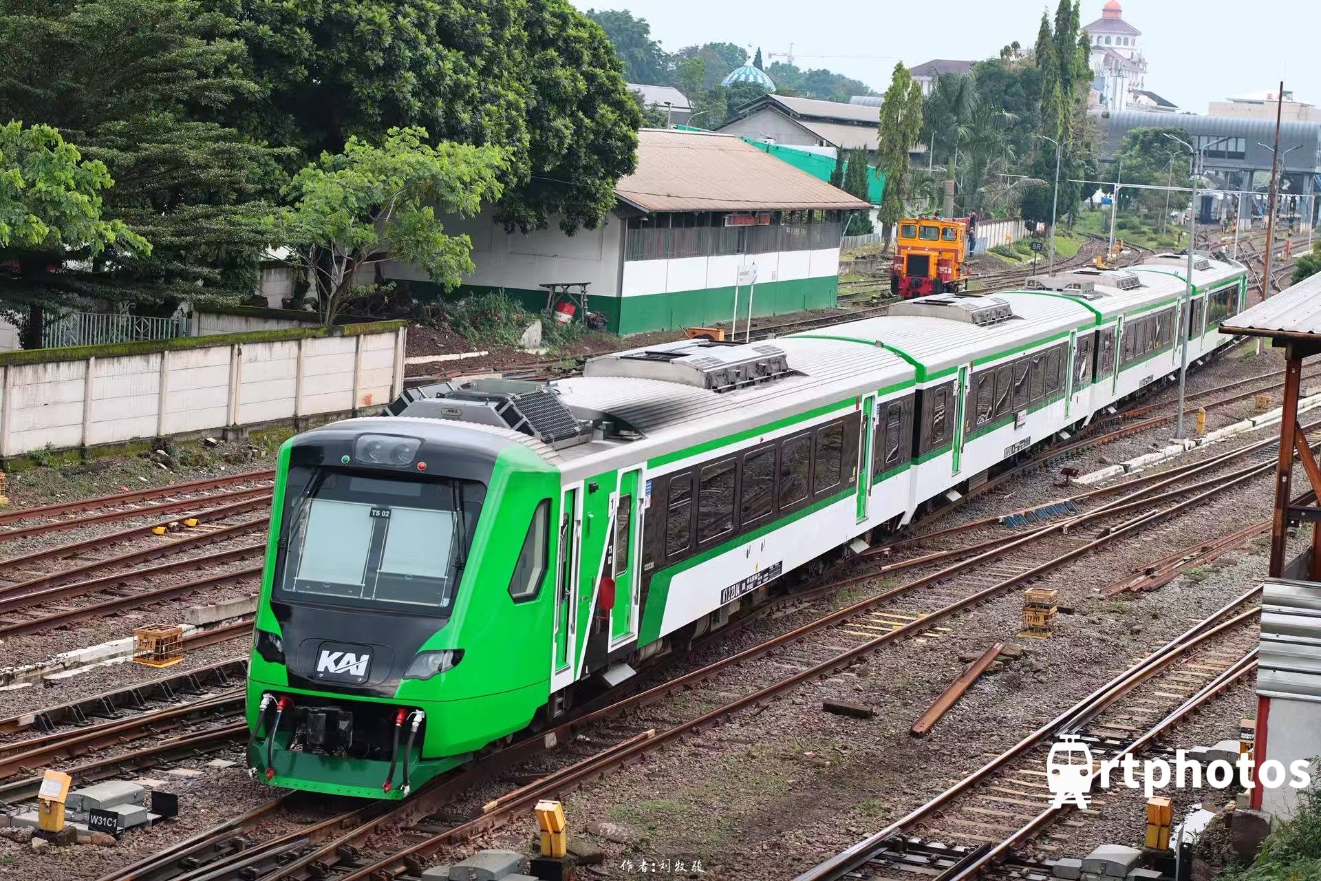 rtphotos-垃圾桶的兄弟