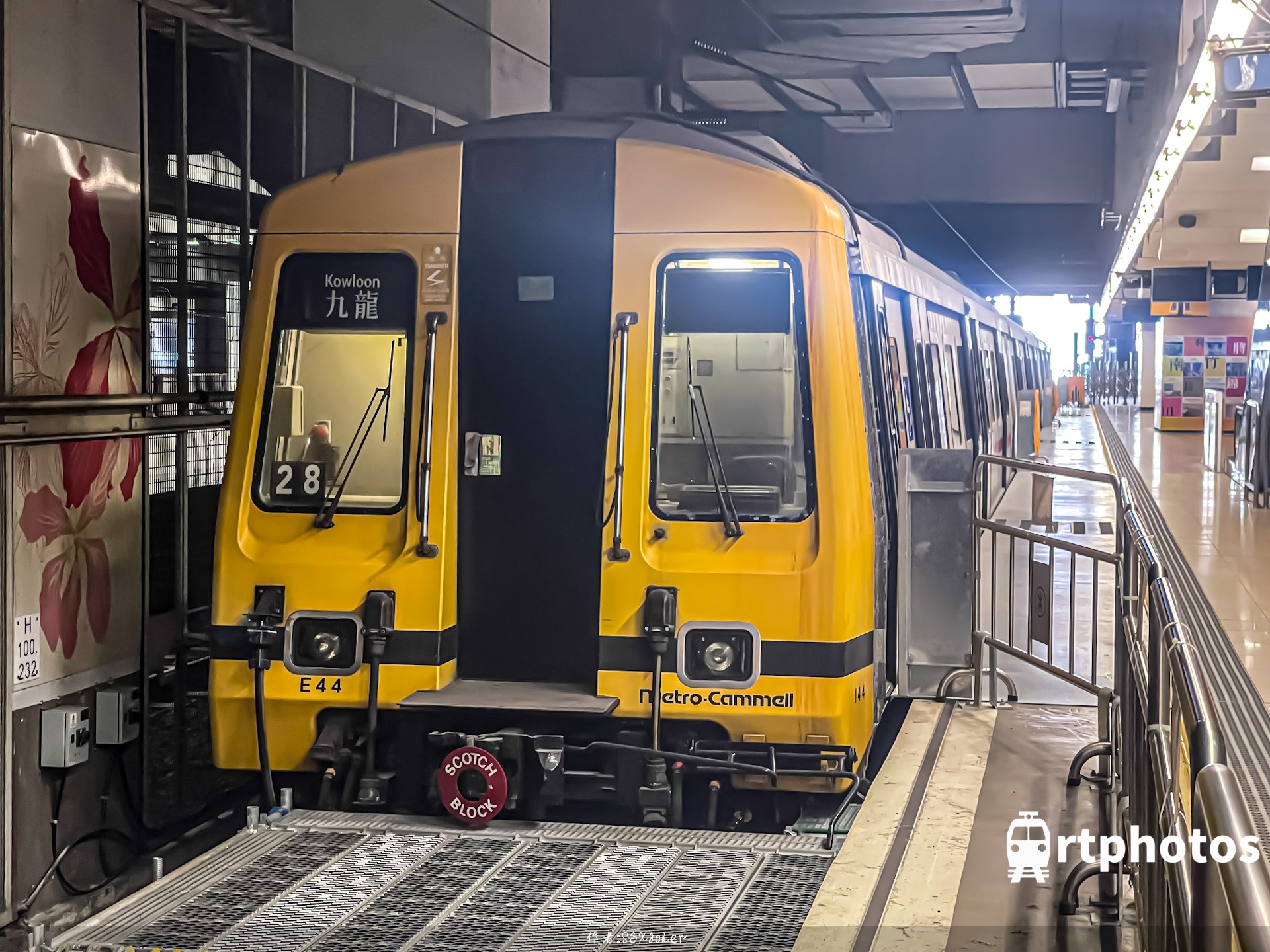 铁路摄影作品 - 黄头