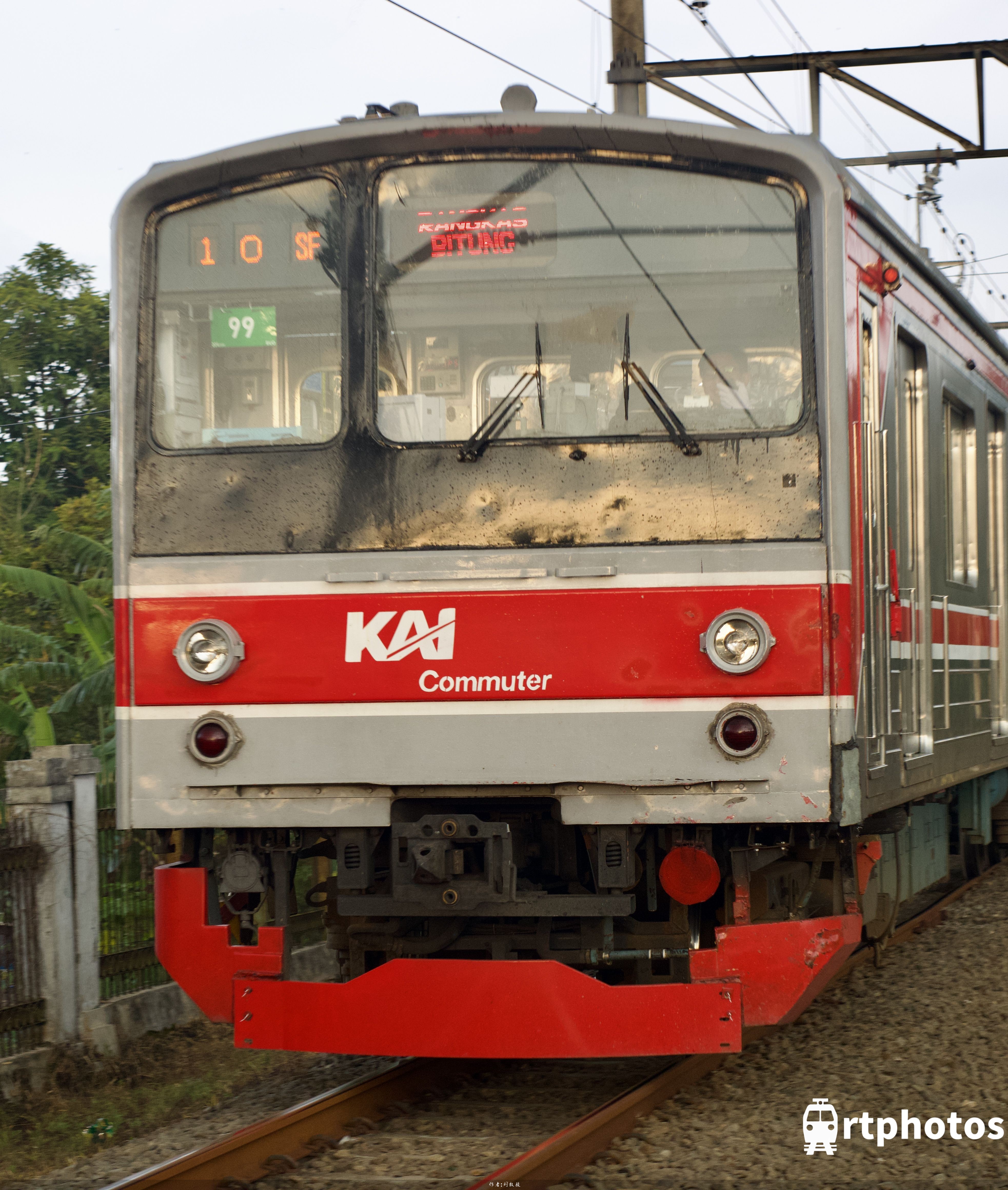 rtphotos-黄金光jr205